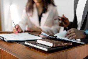 Litigation Services
